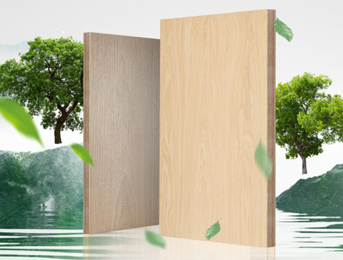 jdb电子制定多项团体标准，推动行业规范化发展