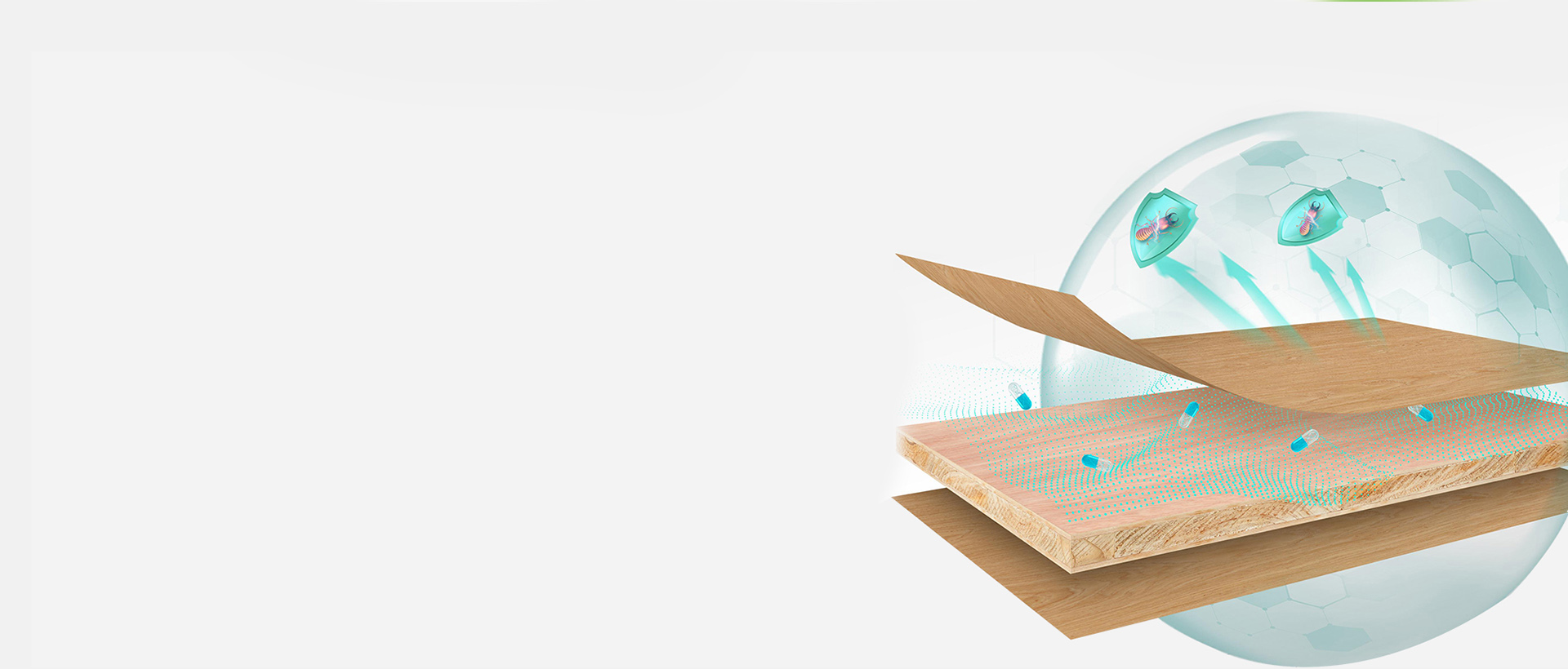 ENF级防虫蛀板材