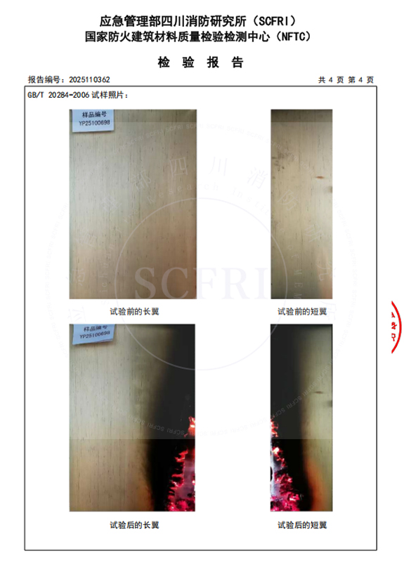 燃烧性能检测报告